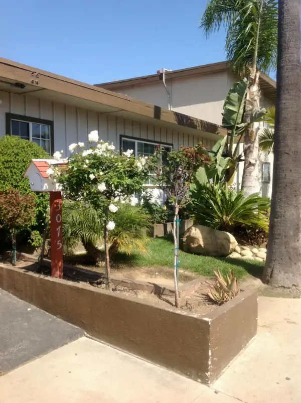 Bayshore Inn Ventura 9