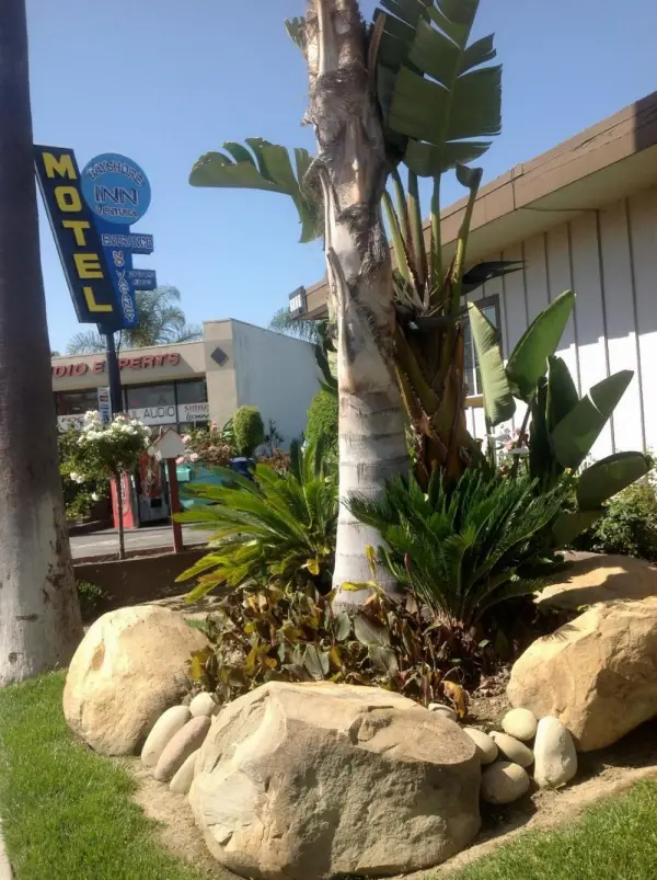 Bayshore Inn Ventura 8